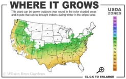 Titan Blueberry - 7 Gallon Pot 8 Titan Blueberry - 7 Gallon Pot -Wilson Bros Gardens 6a 9a 1