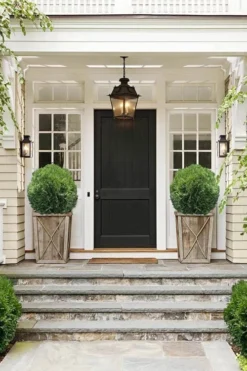 Tom Thumb Dwarf Globe Arborvitae - 1 Gallon Pot -Wilson Bros Gardens Arborvitae Tom Thumb 10