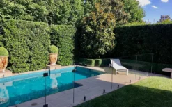 Bay Laurel (Sweet Bay) - Laurus Nobilis - 1 Gallon Pot -Wilson Bros Gardens Bay Laurel 7 1