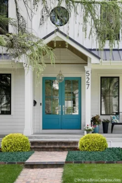 Golden Triumph Variegated Dwarf Boxwood - 3 Gallon Pot -Wilson Bros Gardens Boxwood Golden Triumph 7