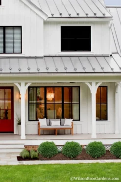 Korean Dwarf Boxwood - Buxus Sinica Var. Insularis 'Nana' - 1 Gallon Pot -Wilson Bros Gardens Boxwood Korean Dwarf Insularis Nana 4 1