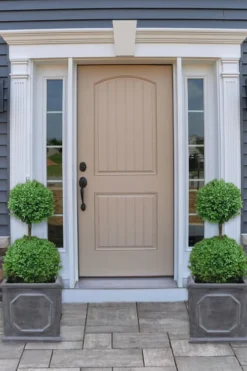 Common Boxwood 2-Ball Poodle Tier Topiary (Buxus Sempervirens) - 3 Gallon Pot (Short) -Wilson Bros Gardens boxwood two ball poodle tier 2