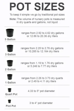 Wilson Bros Gardens -Wilson Bros Gardens pot size chart 2022 428