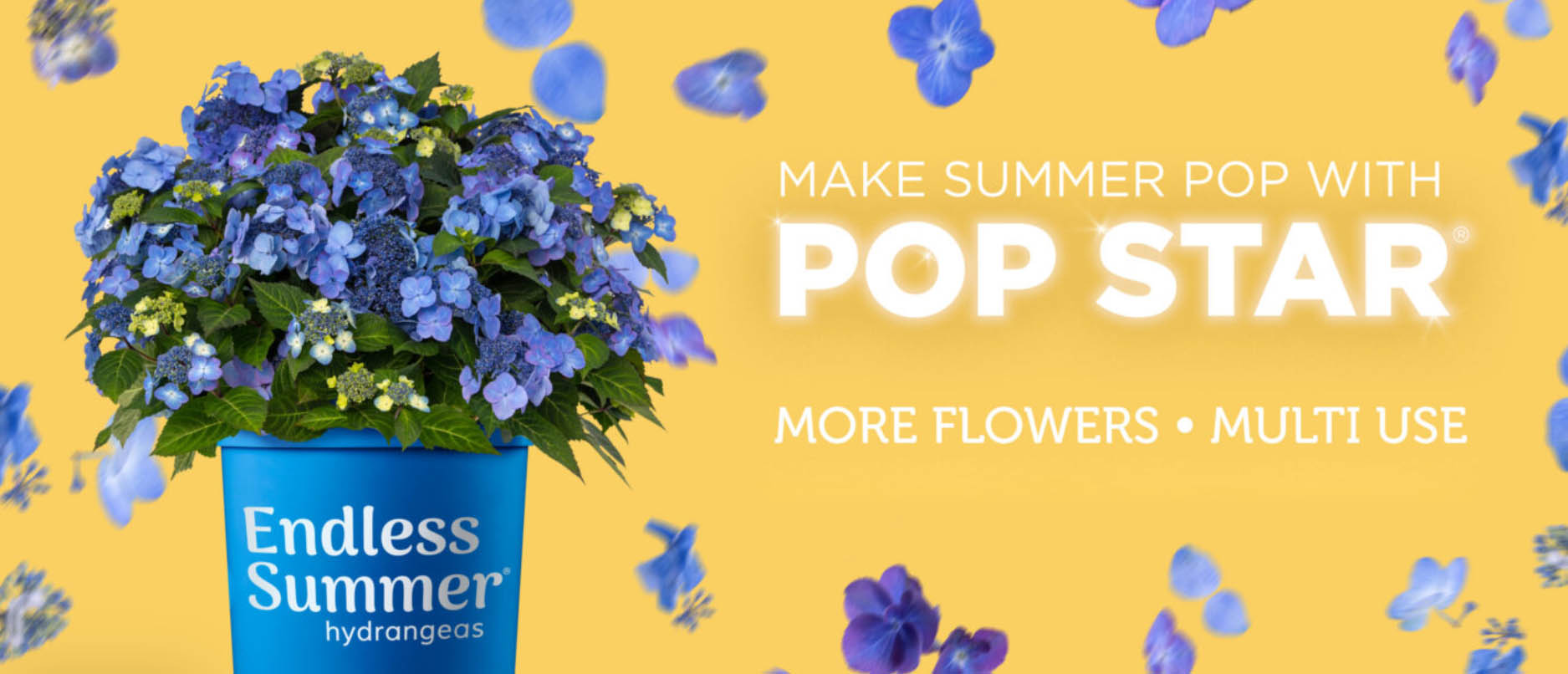 Wilson Bros Gardens -Wilson Bros Gardens tyiyui