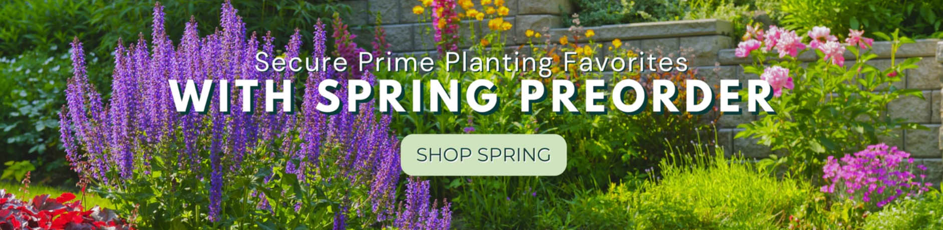 Wilson Bros Gardens -Wilson Bros Gardens yguiyui